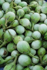 Fresh eggplant green organic in the market
