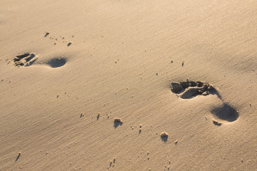 Fototapeta na wymiar Footprints on sand at beach