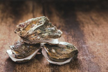 Raw oyster on wooden table with a close view