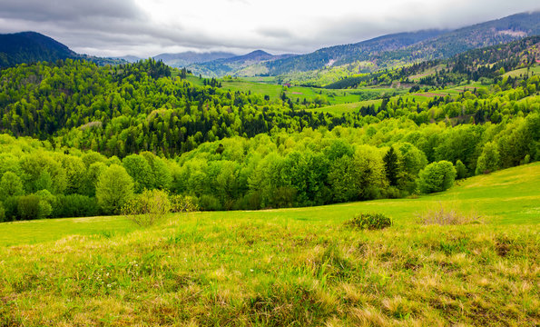 Carpathian rural area in springtime. lovely landscape of mountainous countryside