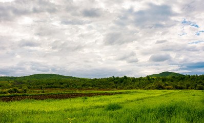 Fototapeta na wymiar rural fields on a cloudy day. lovely springtime scenery of mountainous countryside