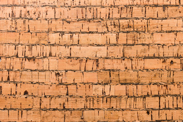 Fototapeta premium Close Up Background and Texture of Cork Board Wood Surface, Nature Product Industrial