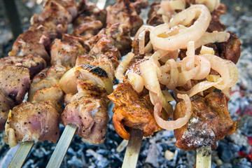 Cooking meat on the fire