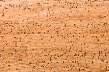Close Up Background and Texture of Cork Board Wood Surface, Nature Product Industrial