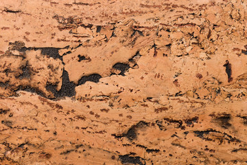 Close Up Background and Texture of Cork Board Wood Surface, Nature Product Industrial