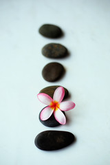 Spa stones and pink flower isolated on wooden.