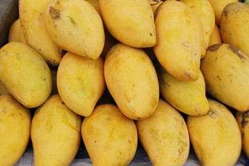 Ripe mango fruit delicious at street food