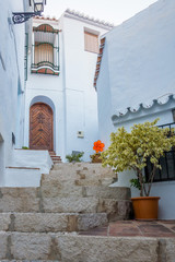 Fototapeta na wymiar Beautiful entries, doors and windows of Frigiliana, village of Malaga
