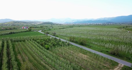 Fototapeta na wymiar drone photography,aerial view of orchards in resen, prespa, macedonia