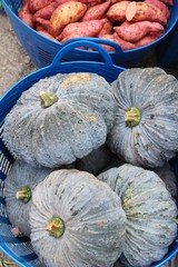 Fresh pumpkin for cooking in the market