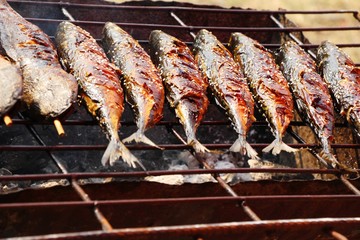 Grilled fish is delicious in the market