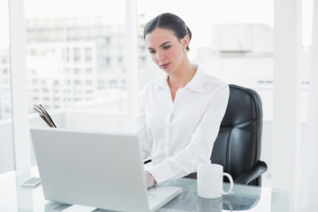 Obraz na płótnie Canvas Businesswoman using laptop at office desk