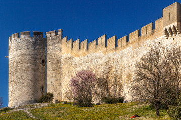 Ruins of fort Saint-Andre in Villeneuve-lès-Avignon town, France - obrazy, fototapety, plakaty