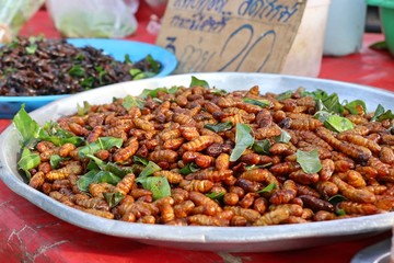 Fried Insect at street food