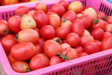 Fresh tomatoes for cooking in street food