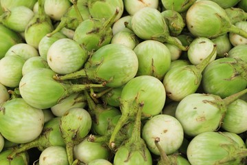 Fresh eggplant green organic in the market