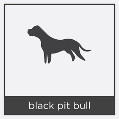 black pit bull icon isolated on white background