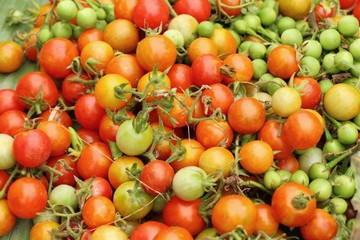 Fresh tomatoes for cooking in street food