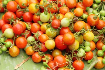 Fresh tomatoes for cooking in street food