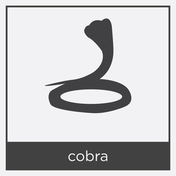 cobra icon isolated on white background