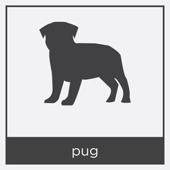 pug icon isolated on white background