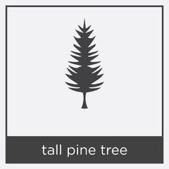 tall pine tree icon isolated on white background