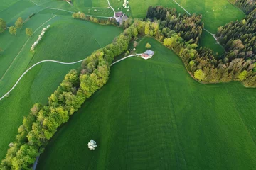 Fotobehang Tree row and farm from the bird's eye view in the rich spring green in central Switzerland © Fredy Thürig