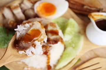 crispy pork with rice delicious on dish