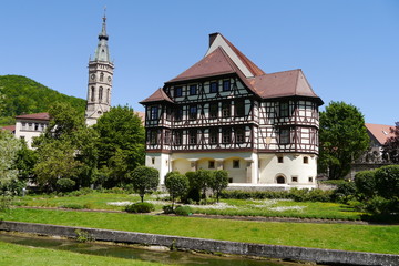 Fototapeta na wymiar Schloss in Bad Urach.