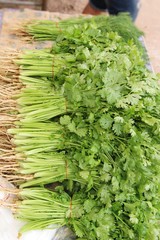 Fresh coriander for cooking in the market