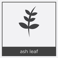 ash leaf icon isolated on white background