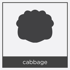 cabbage icon isolated on white background