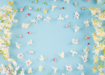 Fototapeta na wymiar Sprinf Flower Background