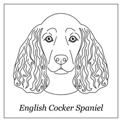 Isolated black outline head of english cocker spaniel on white background. Line cartoon breed dog portrait.