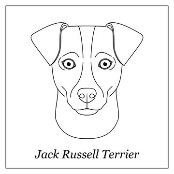Isolated black outline head of jack russell terrier on white background. Line cartoon breed dog portrait.
