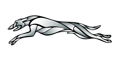 Lineart silhouette of running dog whippet breed. Vector
