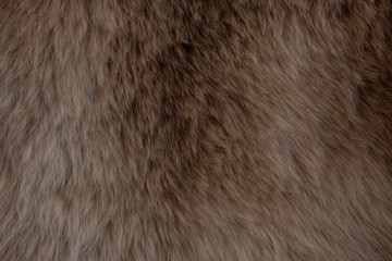 brown fur background texture