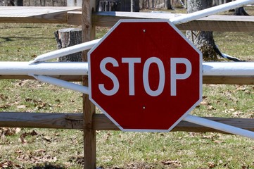A close view of the stop sign on the metal gate.