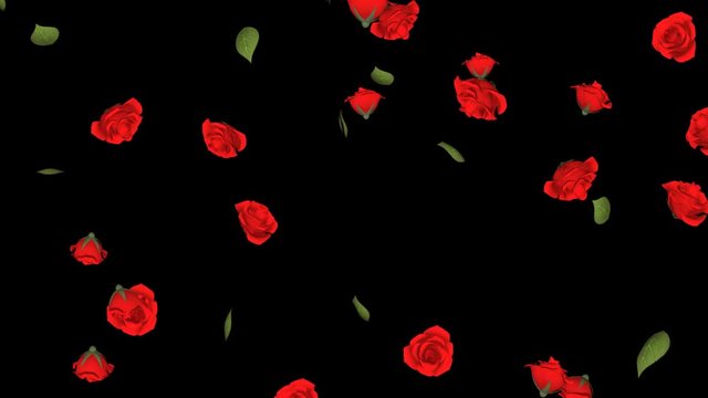 Alpha channel file - Falling Red roses motion background