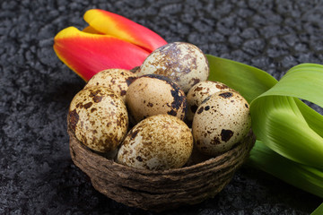 Quail eggs in the nest