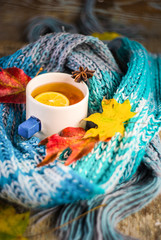 Autumnal concept with yellow leaves