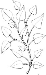 Decorative openwork branch with leaves in graphic style