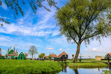 Windmühlen in Zaanse Schans in den Niederlanden in Europa