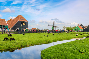 Windmühlen in Zaanse Schans in den Niederlanden in Europa