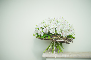 White Lily of the Incas in a bunch