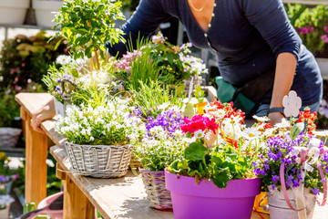 Gartenarbeit und blumen Verkauf