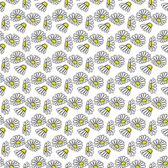 Daisy hand drawn pattern on white background . Vector illustration. - 202614227