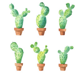 Watercolor hand drawn cactus isolated