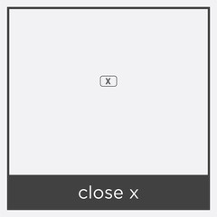 close x icon isolated on white background