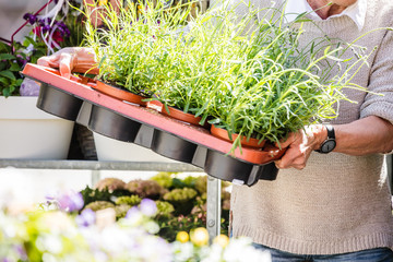 Gartenarbeit und blumen Verkauf